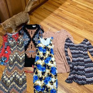 Bundle: Six (6) Size S/6 MIDI Dresses
